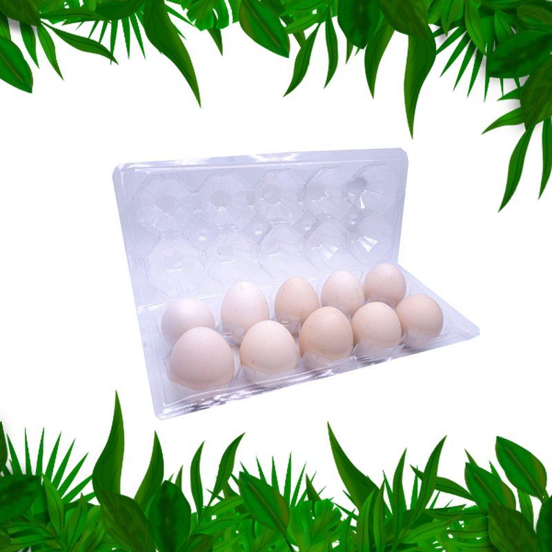 

Sayur Fresh Nuatara Telur Ayam Kampung 5pcs
