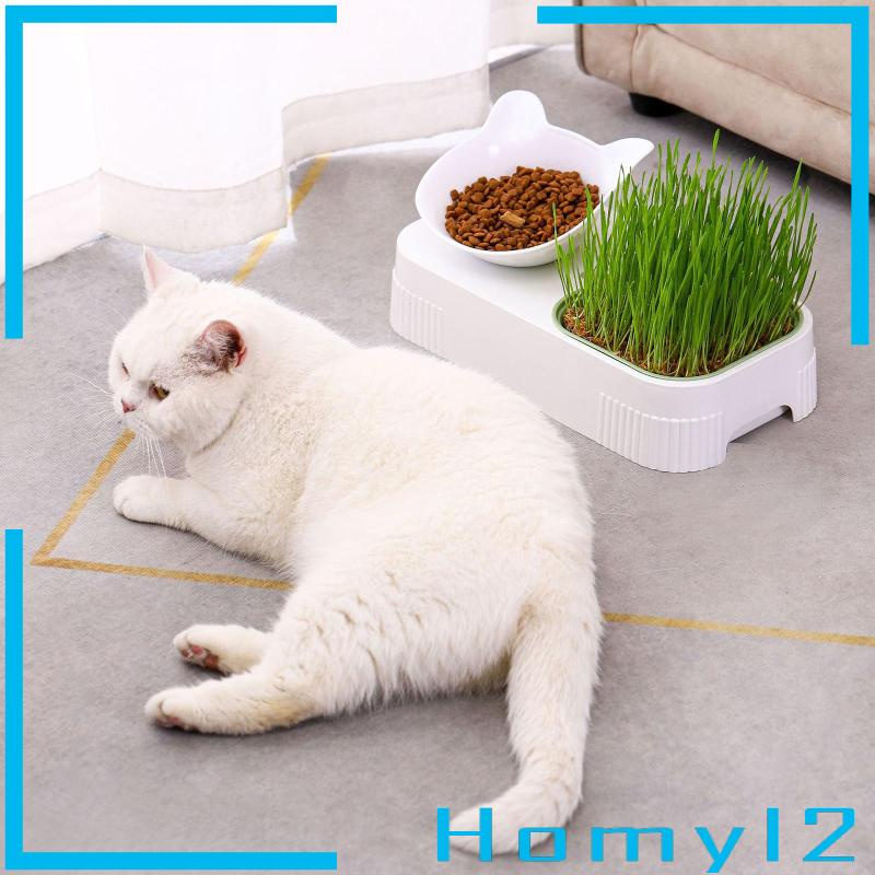 [HOMYL2] Mangkok Kucing Kotak Tray Semai Rumput Nursery Cat Plant Cat Feeder