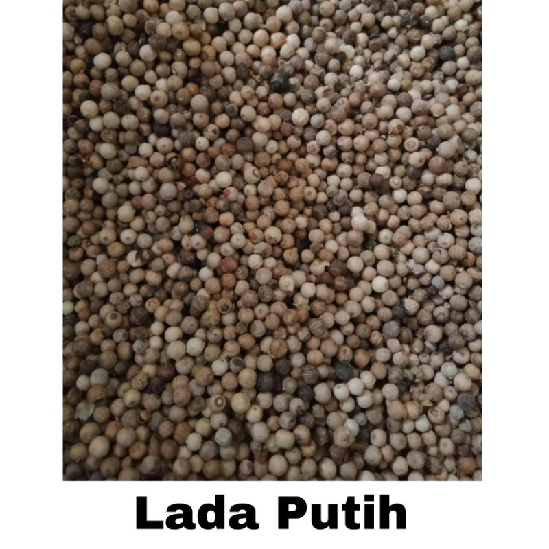 

Bubuk Lada Putih 1 kg Tanaman Herbal Nusantara Free Stiker PIRT Random