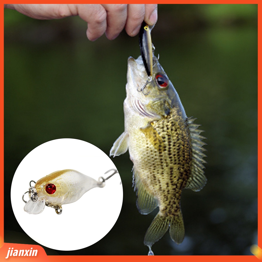 (In Stock) Lure Lifelike Hard Helpful Fishing Tools Mini Lifelike Lure Untuk Air Asin