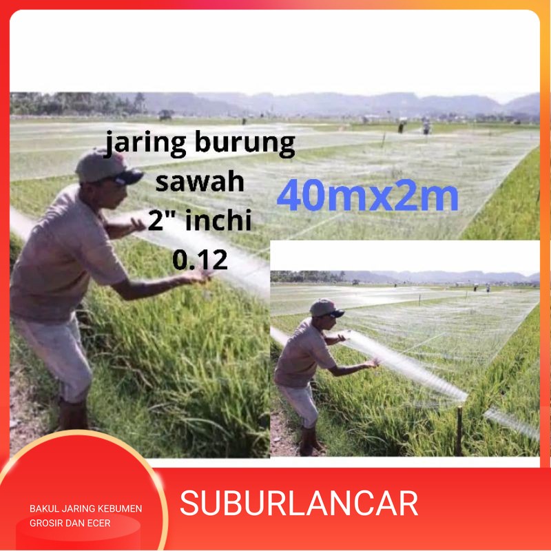 JARING BURUNG JARING PADI JARING EMPRIT JARING SAWAH JEBAKAN PERANGKAP BURUNG JARING