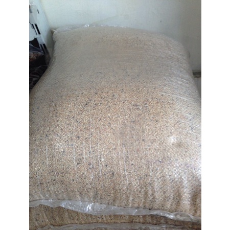 pasir Bali halus aquarium aquascape ikan hias