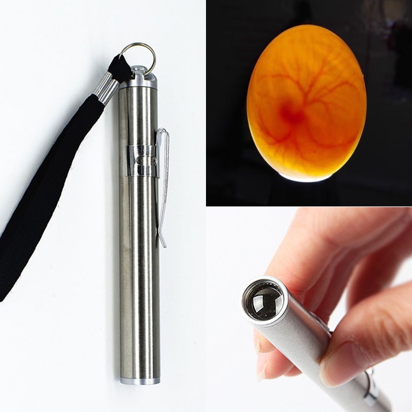 Senter Teropong Telur Ayam Burung Mini LED Untuk Mesin Tetas / Hiking / Camping / Survival / Dokter