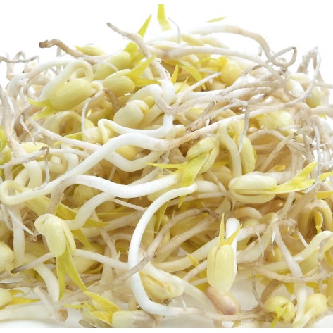 

Toge - 1/2 Kg