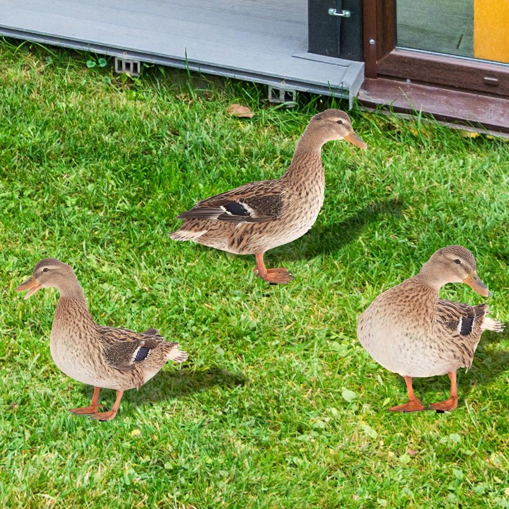 SUYO Patung Bebek Akrilik Patung Pencetakan Dua Sisi Ornamen Taman Dekorasi Bebek Liar