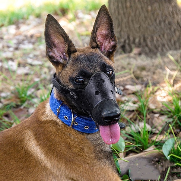 Penutup Mulut Anjing Dog Muzzle Bahan PU Anti Gigit Brongsong Mulut Pet Muzzle