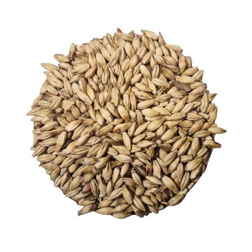 Imattonshop castle malting Cara B (Belga) crystal ebc 30 malt grain