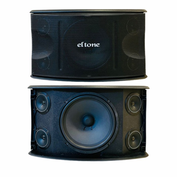 PAKET KARAOKE RUMAH ELTONE 10 INCH 450Watt ORIGINAL