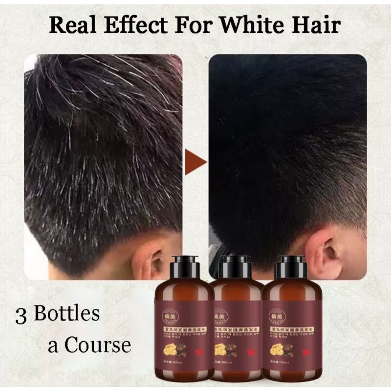 Sampo Penghitam Rambut Uban Natural Polygonum MultiflorumShine Activ // Rambut Hitam Berkilau &amp; Sehat 300ml