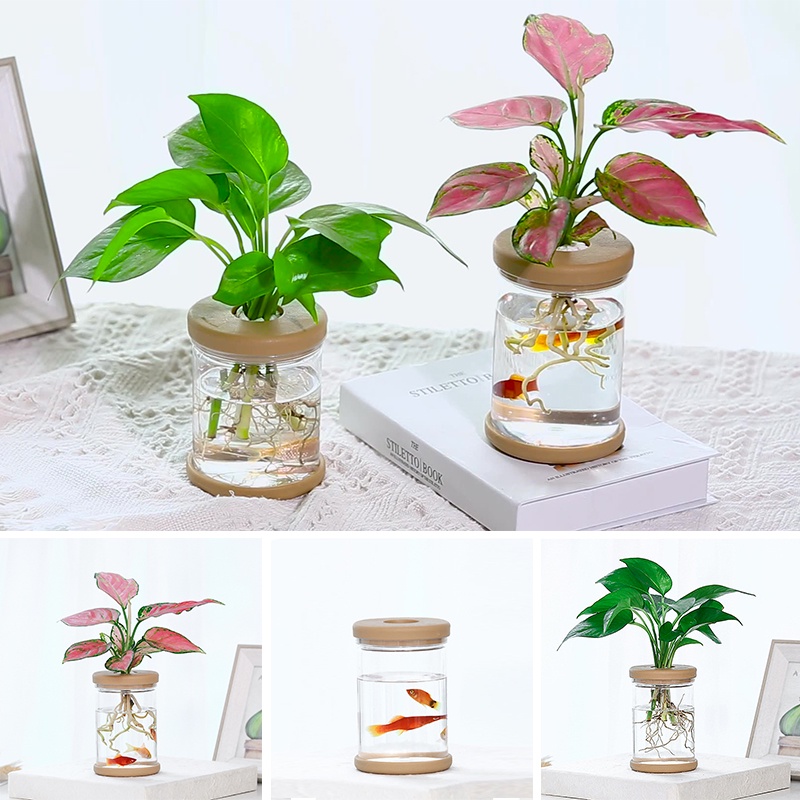 Vases Vas Bunga Hidroponik Pot Tanaman Tanpa Tanah Transparan Pot Dalam Ruangan Meja Tangki Ikan Mini Pot Bunga Meja Ornamen Botol Transparan