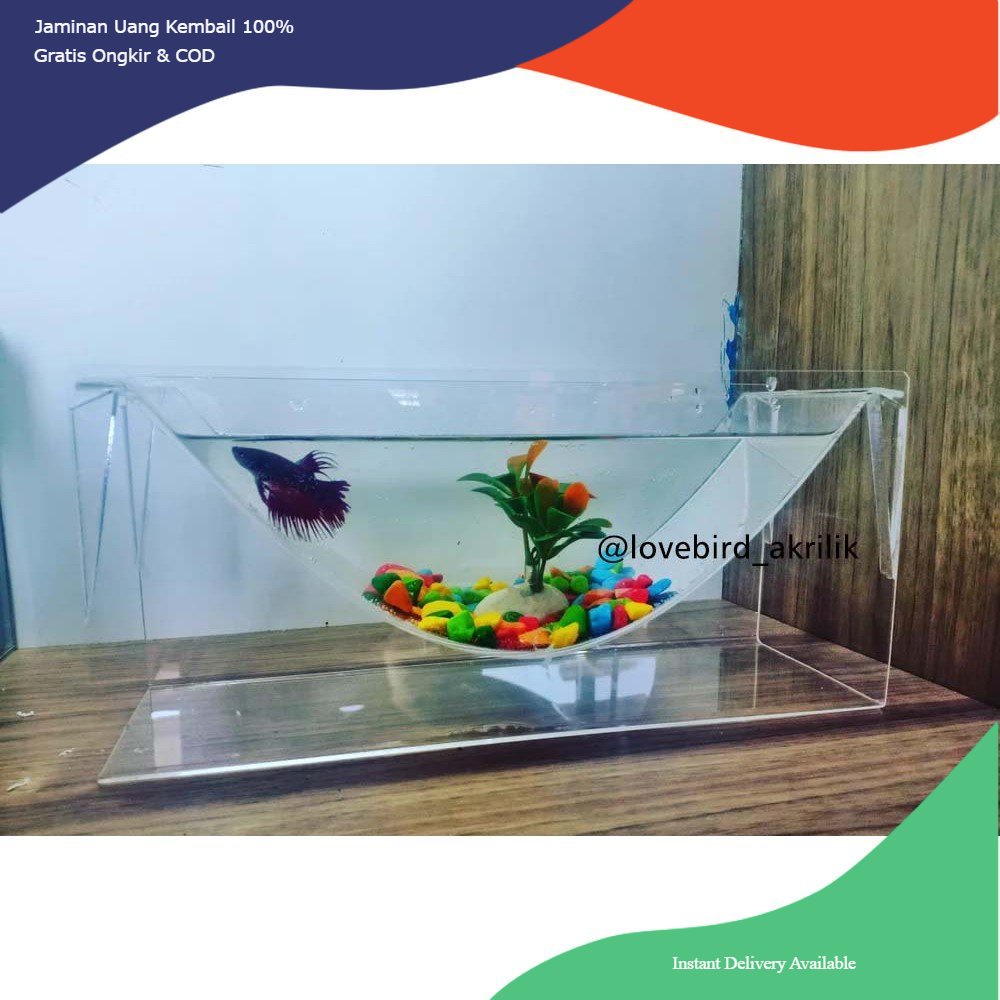 Aquarium Ikan Cupang Akrilik, Acrylic Betta Fish, Aquarium Akrilik Unik, Aquarium unik, Betta tank