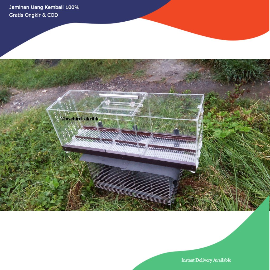 Kandang Macaw, Sangkar Macaw, Kandang Burung Macaw, Pet Cargo Macaw, Macaw, Burung Macaw, Box Macaw