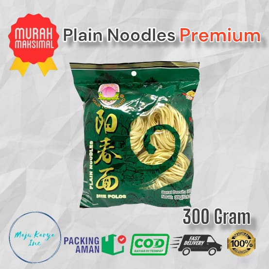 Xian Tou Brand Plain Noodles Mi Polos 300 Grm