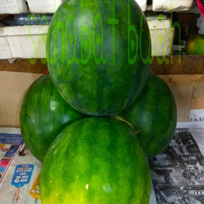 

N.E.W BUAH SEMANGKA MERAH NON BIJI