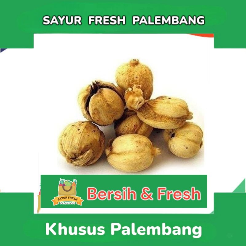 

Kapulaga 50Gram - Sayur Fresh Pasar Perum