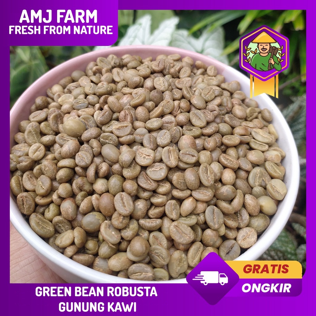 REAL PICT PREMIUM QUALITY 1 Kg Green Bean Kopi Robusta Gunung Kawi / Kopi Robusta Mentah  Biji Kopi Pilihan (AMJ FARM) MURCEE