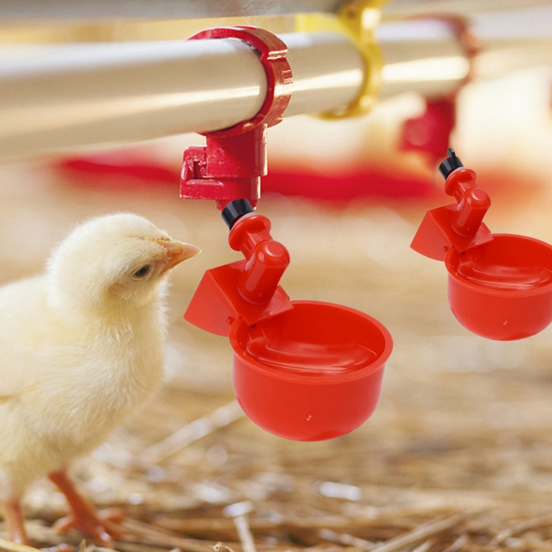 Cangkir Minum Hewan Peliharaan Anti Bocor/Mangkok Makan Ayam Puyuh Merpati/Dispenser Air Otomatis Universal/Tempat Makan Unggas Kapasitas Besar