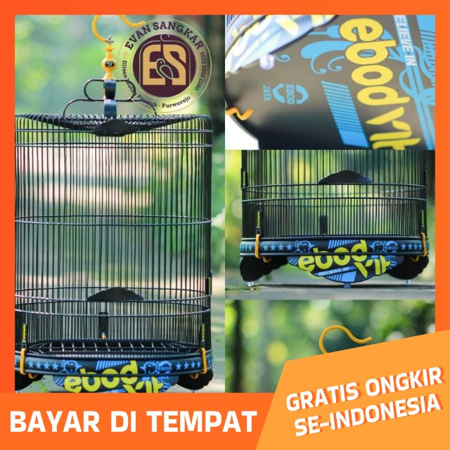 ebod vit murai pvc decal