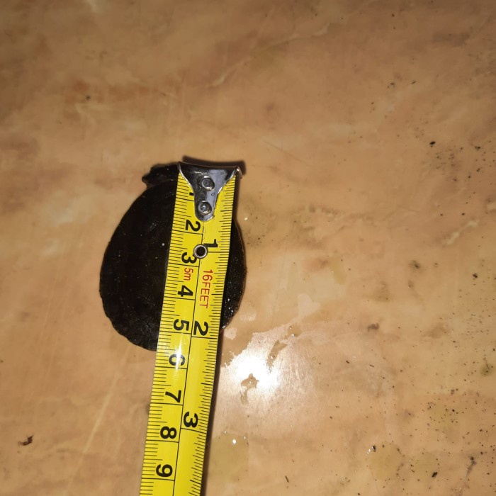 Mainan Kura Dada Merah atau Damer Baby up