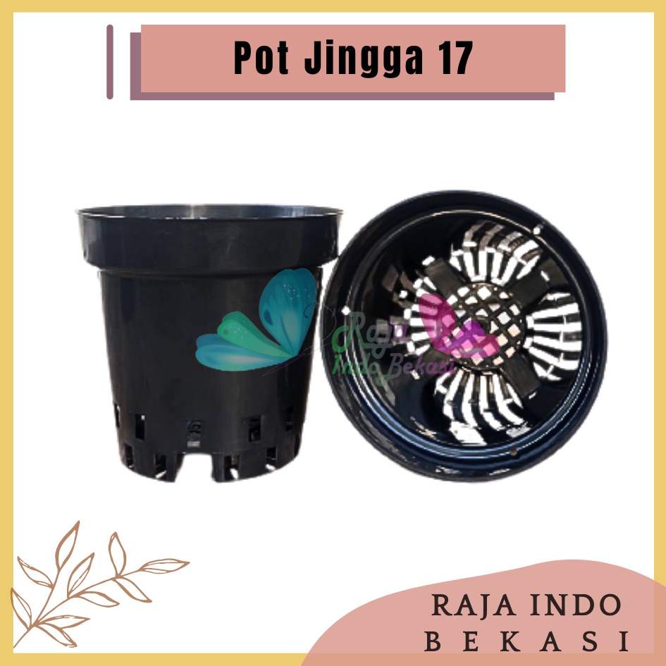 Pot Plastik Anggrek Jingga Hitam Uk 17 Pot Berlubang Pot Gantung Bunga Anggrek cantik