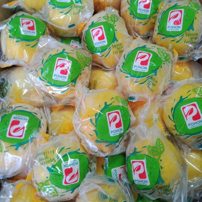 

✨NEW✨ -LEMON IMPORT FRESH- 2.2.23