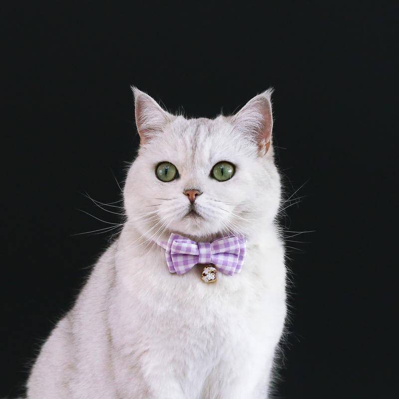 Pet bow tie collar Dengan Lonceng Bunga Kucing Dilepas Lapisan Ganda Segar Lucu Kotak-Kotak Kerah Busur Kucing Anjing Aksesori Leher Yang Dapat Disesuaikan