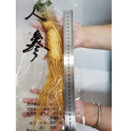 

Ginseng Segar Ukuran 100gram ginseng merah korea Fresh Ginseng root vacuum