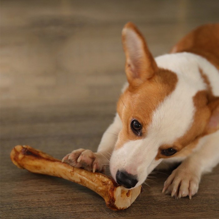 Real bone tulang panggang pet snack roasted beef bone dog snack