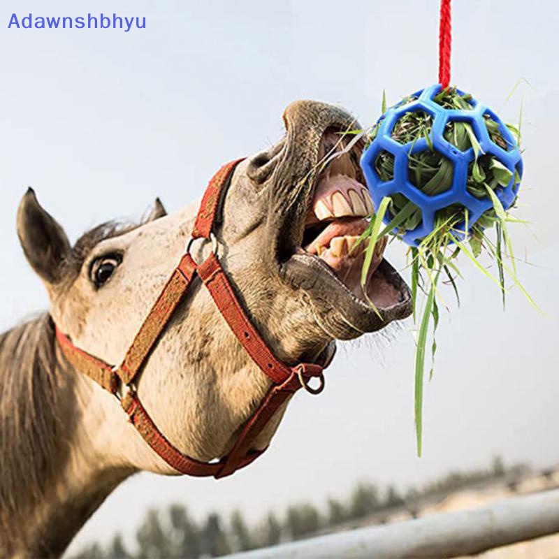 Adhyu Horse Hay Hanging Horse Treat Ball 5.5 Inch Bola Makan Kuda Mainan Kuda ID