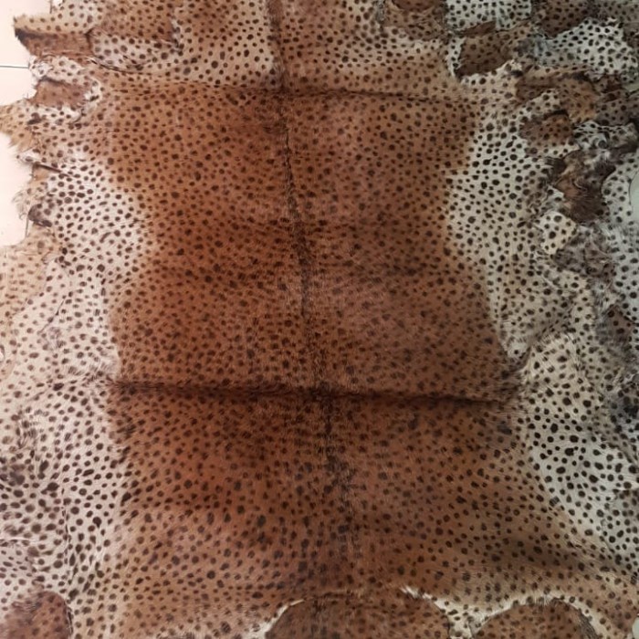 Kulit Kambing Lembaran motif Macan, Leopard, macan tutul, zebra dll - tutul kecil