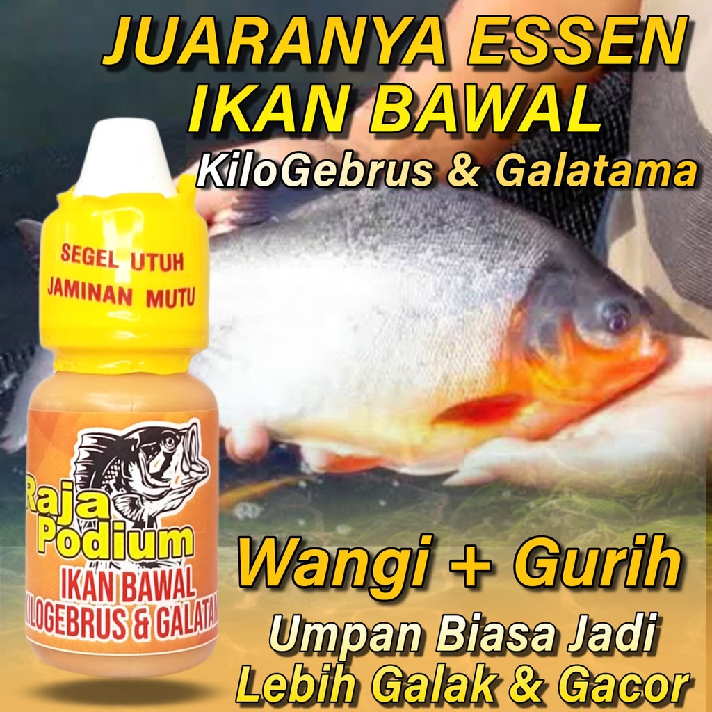 Essen Ikan Bawal Harian KiloGebrus Paling Ampuh Dan Gacor 15ml, Essen Ikan Bawal Media Cacing, Essen