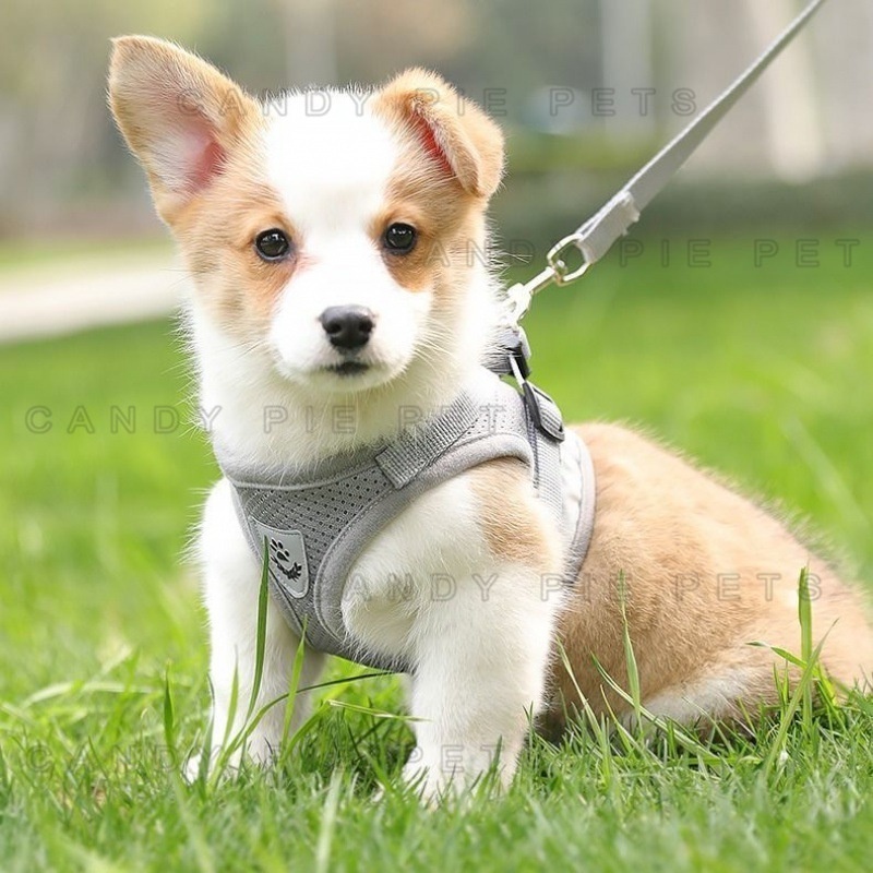 Mantulbee Rompi Kucing Tali Tali Anjing Kelinci Pengikat Reflektif Harness Kucing