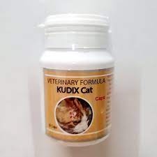 READY KUDIX CAT TABLET 10 KAPSUL OBAT LUKA LUAR SCABIES KULIT GATAL KUCING ANJING EKSIM KORENG DIJAM