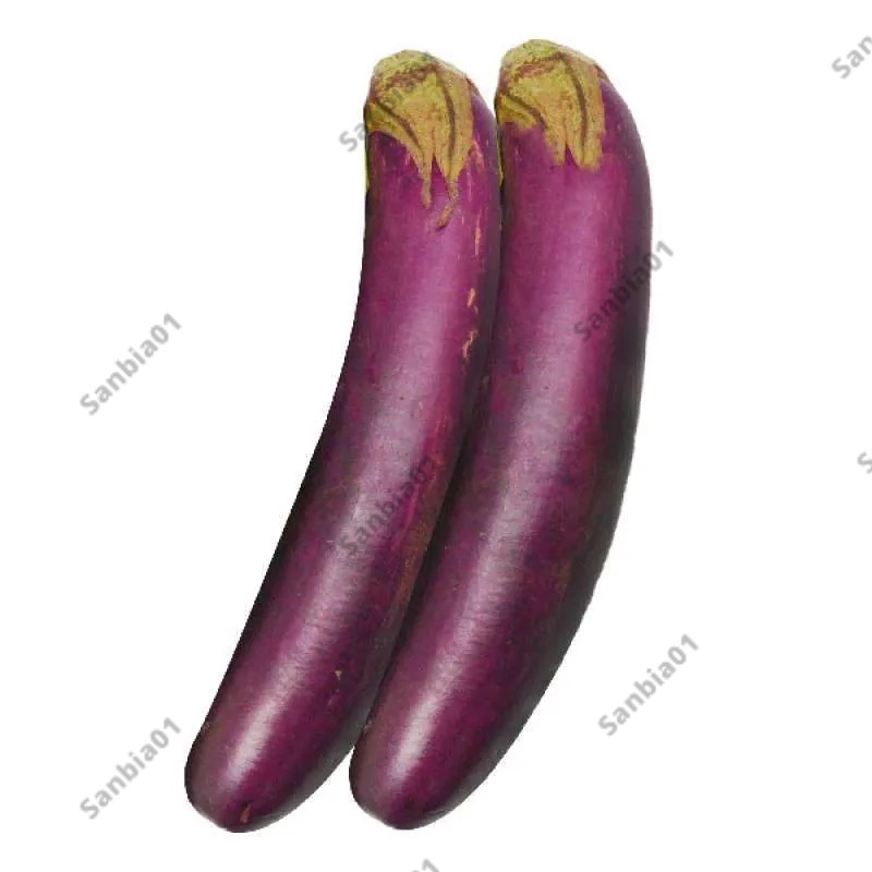 

Sayur Terong Fresh 250 gram
