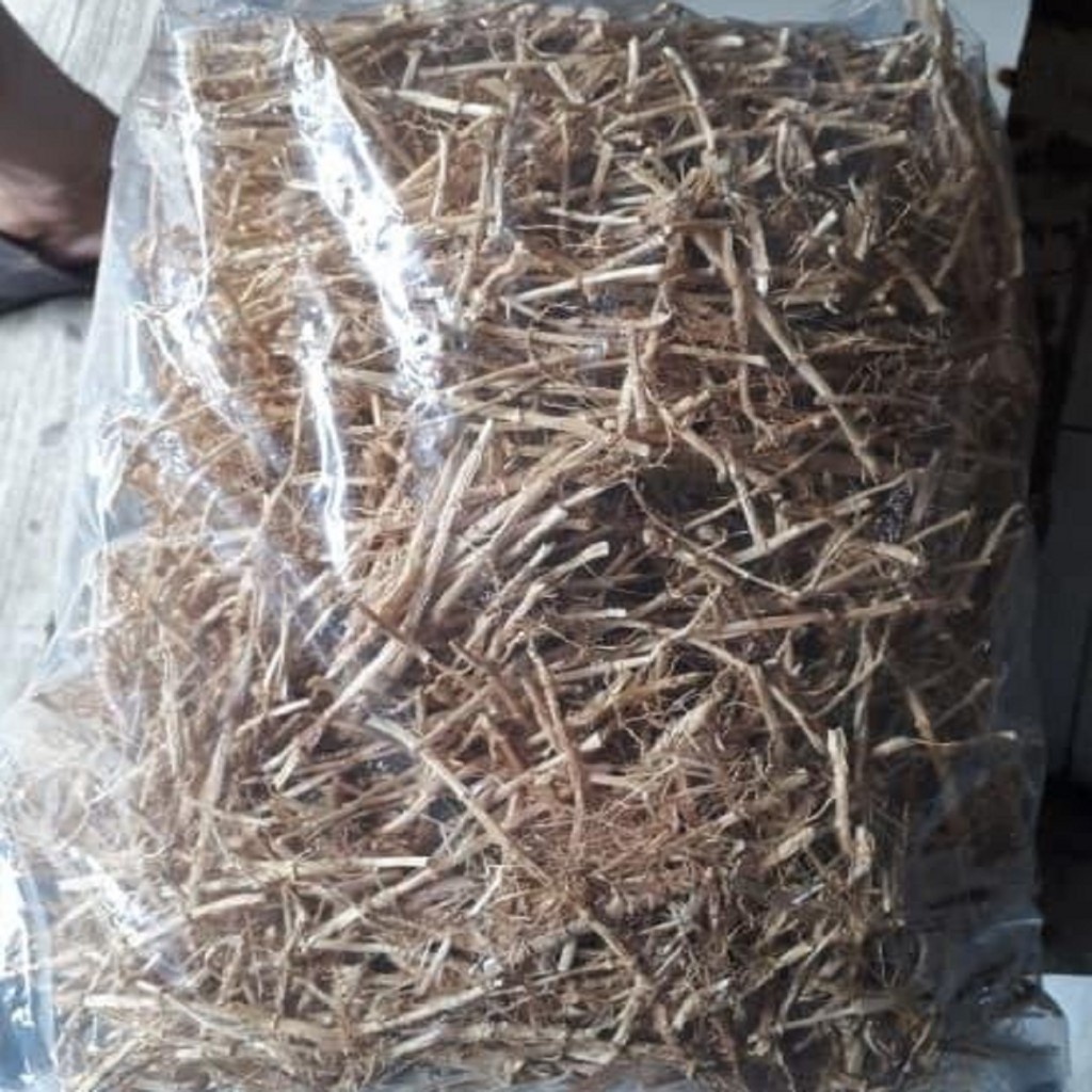 

Akar Alang Kering Rempah Jamu Herbal Tradisional Untuk Panas Dalam