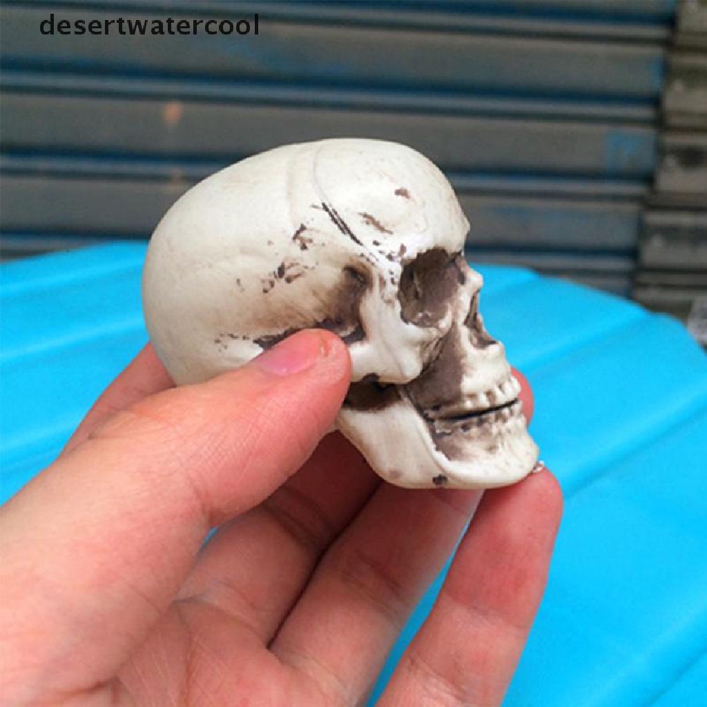 Deid Halloween Kepala Tengkorak Buatan Model Tengkorak Tulang Mengerikan Horror Tengkorak Ornamen Martijn