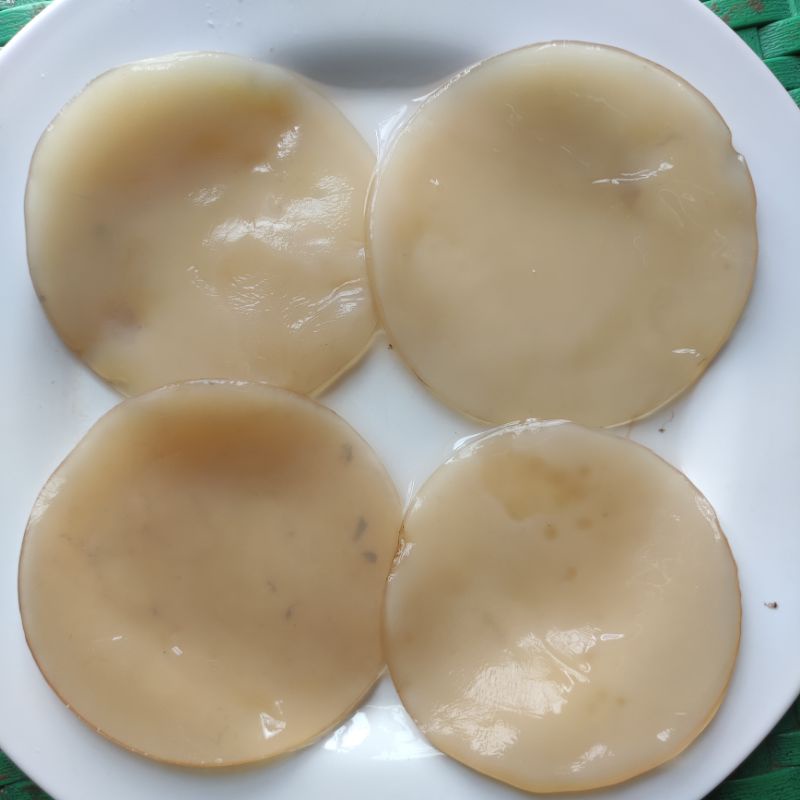 

[ GENEHELBSHOP ] STARTER JAMUR KOMBUCHA BAHAN TEH SEHAT - BIBIT SCOOBY KOMBUCHA BULAT UTUH DIAMETER 7-9 CM