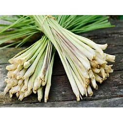 

EXPRESS Sereh Serai 500 gr Masih Fresh