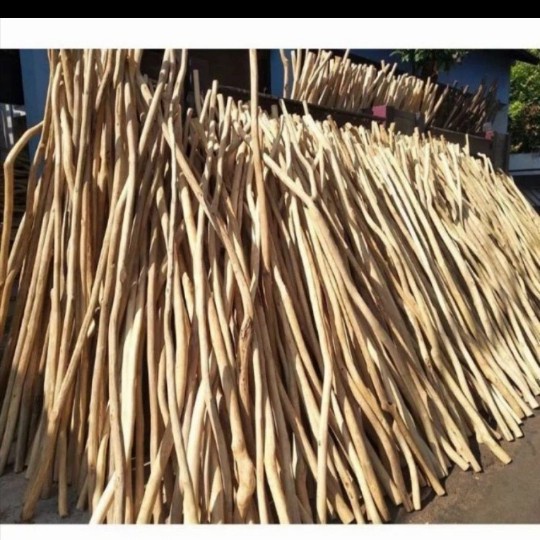 ranting kayu jati 100 cm per 5pcs - ranting kayu macrame- ranting jati