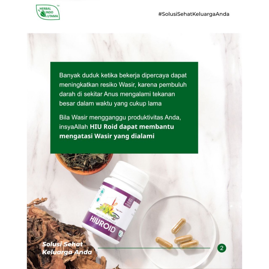 Daun Ungu Obat Untuk Wasir Ambeien Original Paling Ampuh