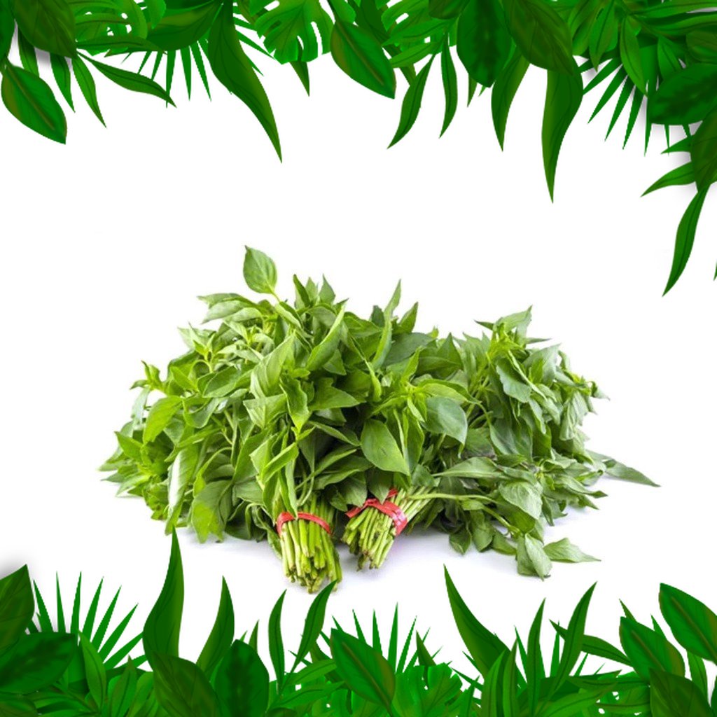 

SAYURAN FRESH NUSANTARA - DAUN KEMANGI 1 IKAT