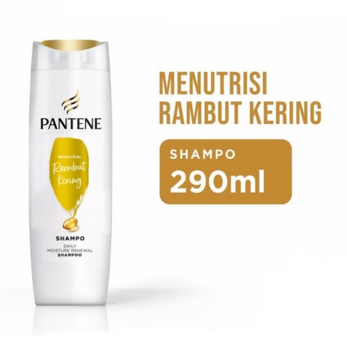 ★ BB ★ Pantene Shampoo Daily Moisture Repair 290ml