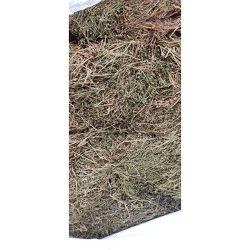 

BUBUK RUMPUT MUTIARA 1 KG Tanaman Herbal Nusantara Free Stiker PIRT Random