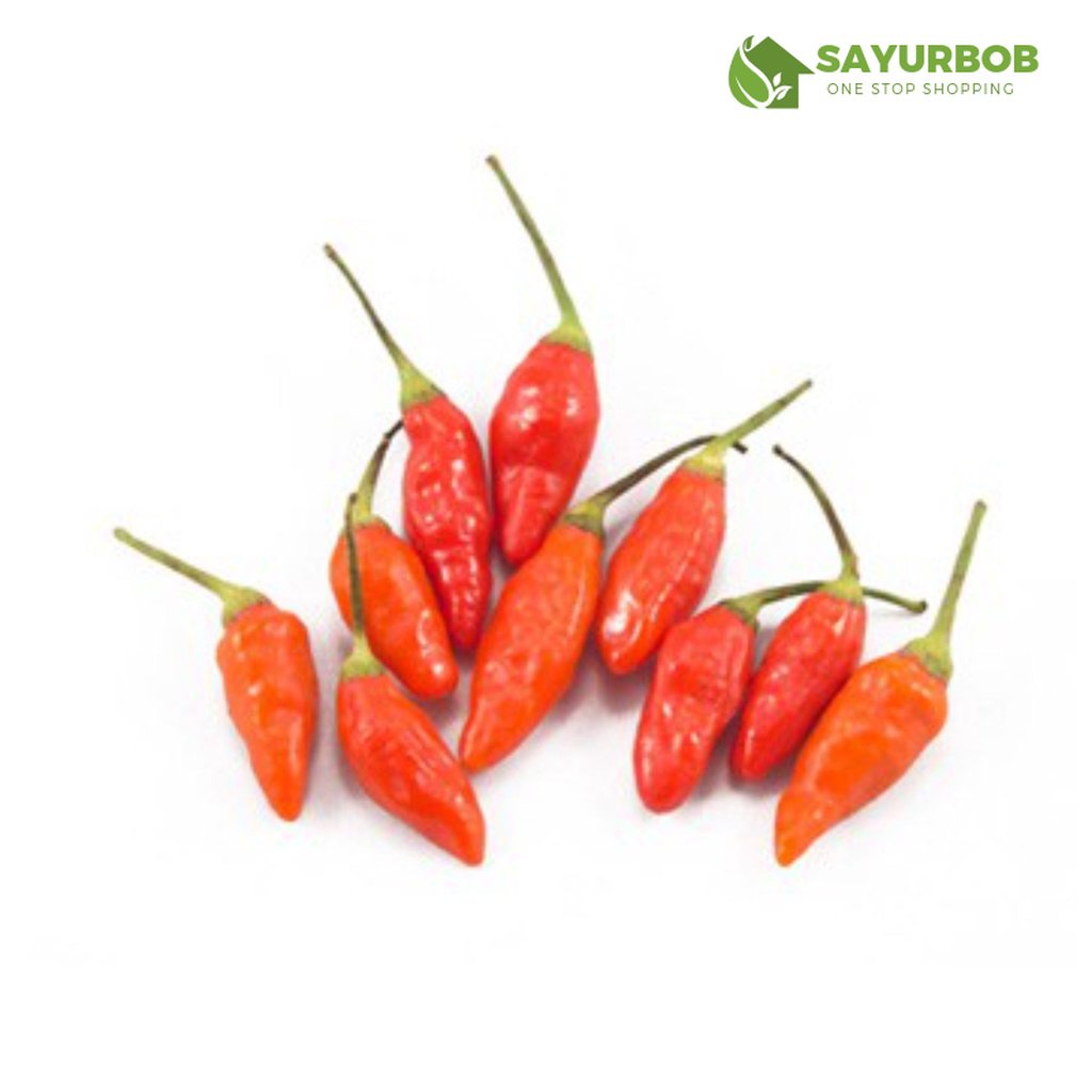 

Cabe Cabai Rawit Merah 100gr SayurBob