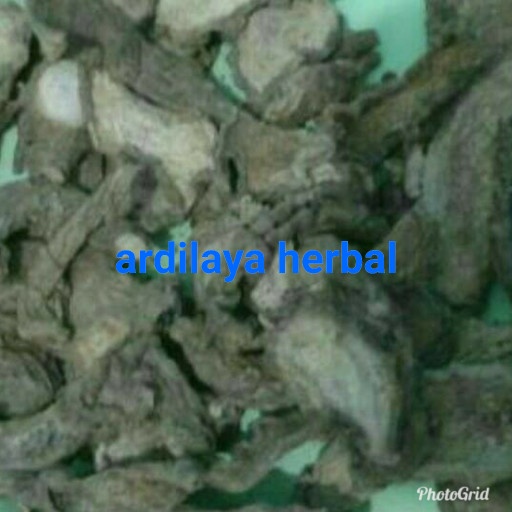 

jahe merah kering 100 gram ASLI 100%