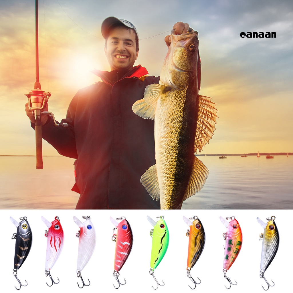 Cnn-5cm/3.6g Ikan Kecil Lure 3D Simulasi Fisheye Treble Hook Menggoda Culter Alburnus Bass Lure Memancing Luar Ruangan