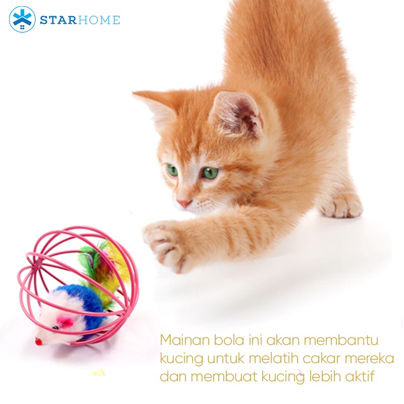Mainan Kucing Bola Tikus Cat Toys Mainan Pet Mainan Hewan Cat Ball