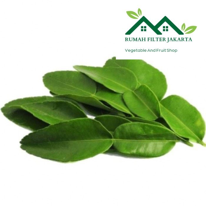 

Daun Jeruk Segar