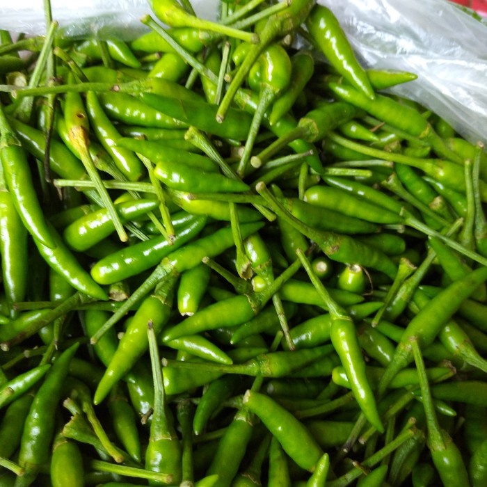 

Cabe Rawit Hijau