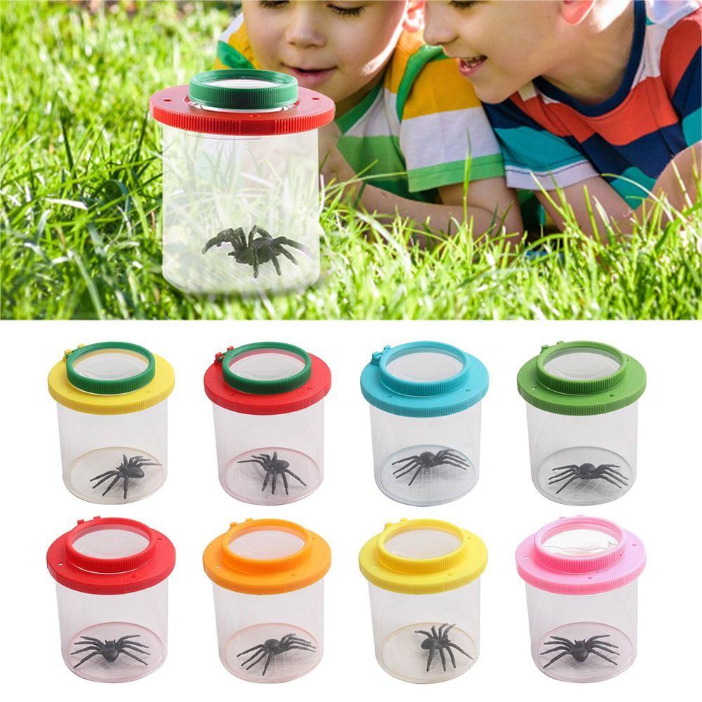 PINEAPPLE Kotak Serangga Nanas Butterfly Spider Ant Backyard Explorer Handheld Insect Observer